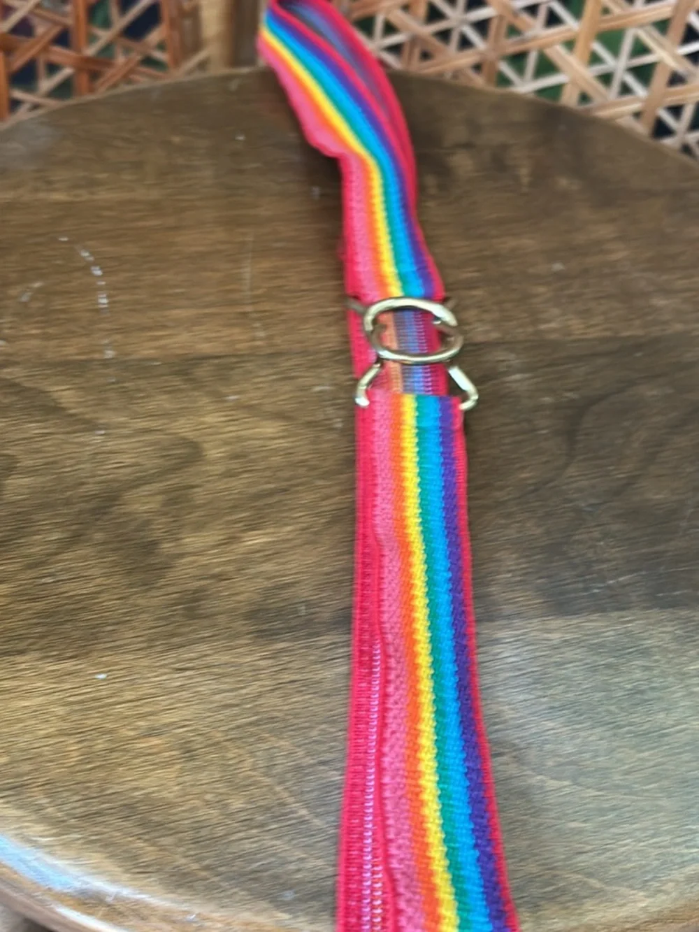 Red Rainbow Stripe Elastic Belt with Gold Interlocking Buckle
